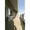 Comforia Nishiogikubo - Interior - ["Sky", "Building", "Window"] thumbnail