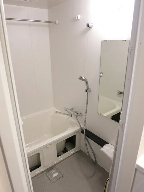 A-Standard Shibaura - Interior - ["Bathtub", "Plumbing fixture", "Shower"]