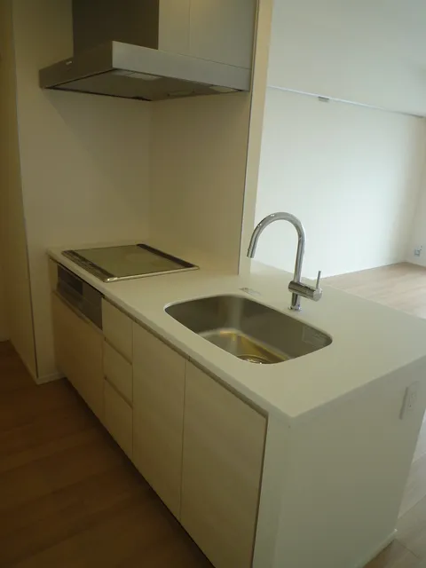 Park Habio Shibuya Honmachi Residence - Interior - ["Tap", "Kitchen sink", "Sink"]