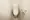 Hmlet Bunkyo Korakuen - Interior - ["Toilet seat", "Toilet", "Flooring"] thumbnail
