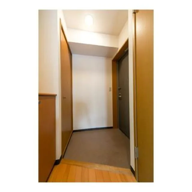 MA21 - Interior - ["Property", "Room", "Ceiling"]