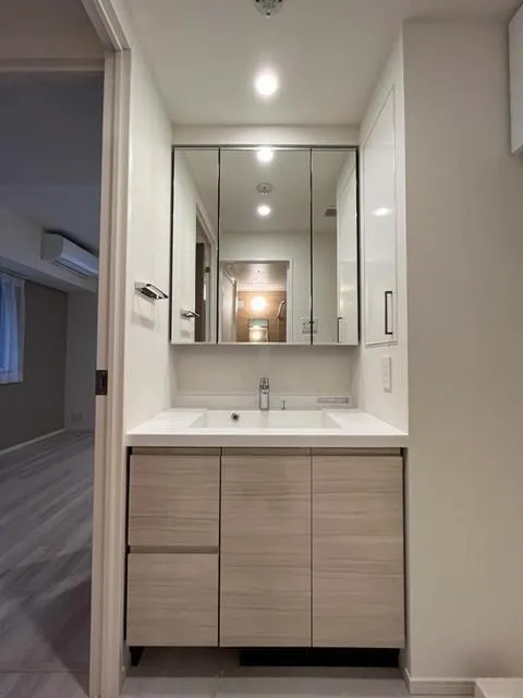 Park Axis Monzennakacho Terrace - Interior - ["Cabinetry", "Bathroom cabinet", "Mirror"]