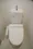 Will Terrace Takinogawa - Interior - ["Toilet seat", "Toilet", "Plumbing fixture"] thumbnail
