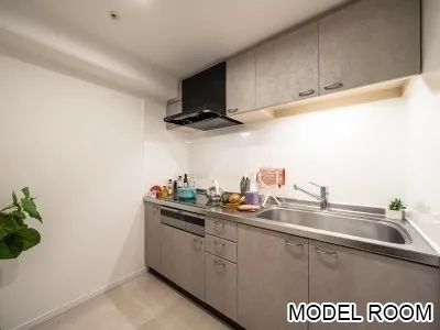 River City 21 East Towers II - Interior - ["Apartment", "Countertop", "Kitchen Sink"]
