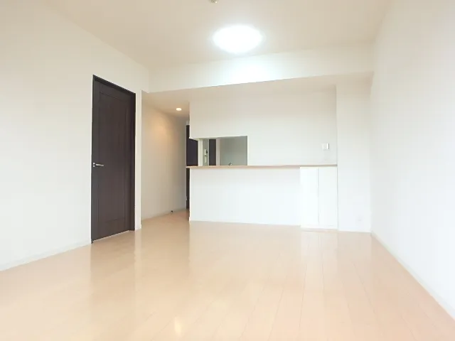 Ecology Asakusa Bridge Residence - Interior - ["Property", "Lighting", "Wood"]