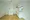Grand Paseo Yoyogi Uehara - Interior - ["Flooring", "Floor", "Interior design"] thumbnail
