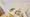 Hmlet Koenji II - Interior - ["Floor", "Wood flooring", "Plumbing fixture"] thumbnail