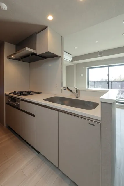 Terra Silk Forest - Interior - ["Kitchen", "Countertop", "Interior design"]