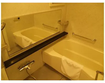 Duo Scala Higashi Nihonbashi - Interior - ["Bathroom", "Plumbing fixture", "Plumbing"]
