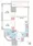 RESIDIA Ogikubo III - Floor Plan - ["Rectangle", "Font", "Parallel"] thumbnail