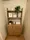 Wellis Urban Suitengumae - Interior - ["Hardwood", "Houseplant", "Shelving"] thumbnail