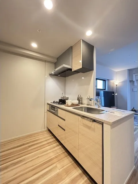 Geoent Ueno Inaricho - Interior - ["Kitchen", "Countertop", "Flooring"]