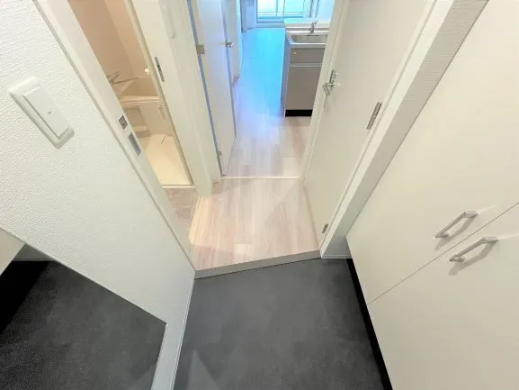 Serenite Esaka Miracle - Interior - ["Flooring", "Floor", "Grey"]