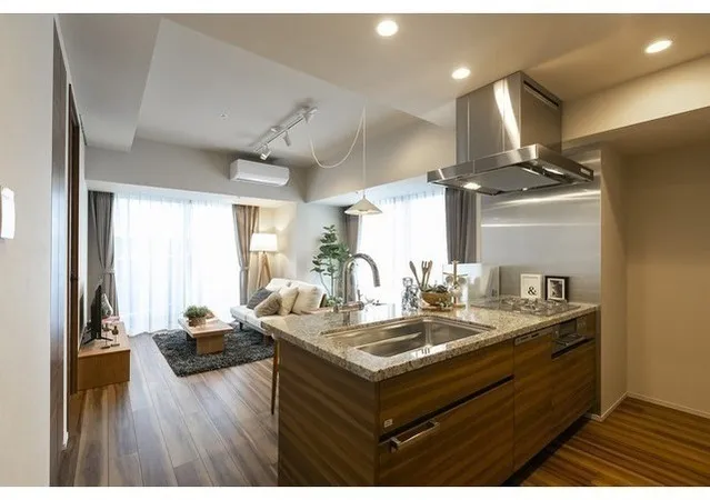 Tokyo Port City Takeshiba Residence Tower - Interior - ["Kitchen", "Houseplant", "Countertop"]
