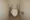 House Yukiya - Interior - ["Toilet seat", "Toilet", "Plumbing fixture"] thumbnail