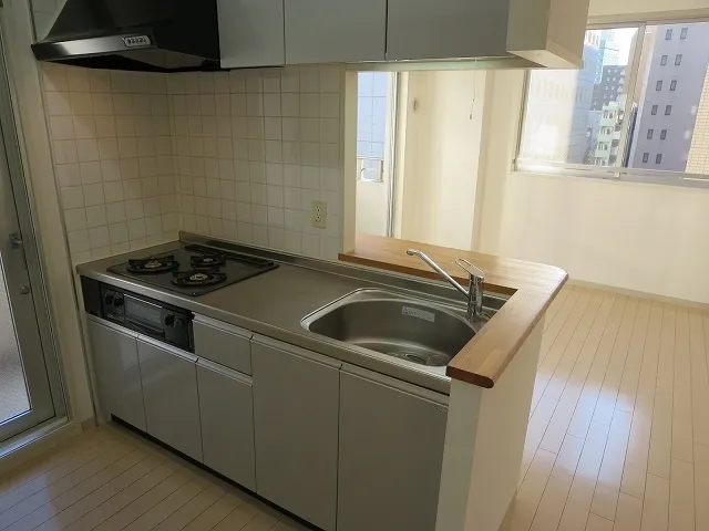 Doue Shinkawa - Interior - ["Kitchen", "Major appliance", "Flooring"]