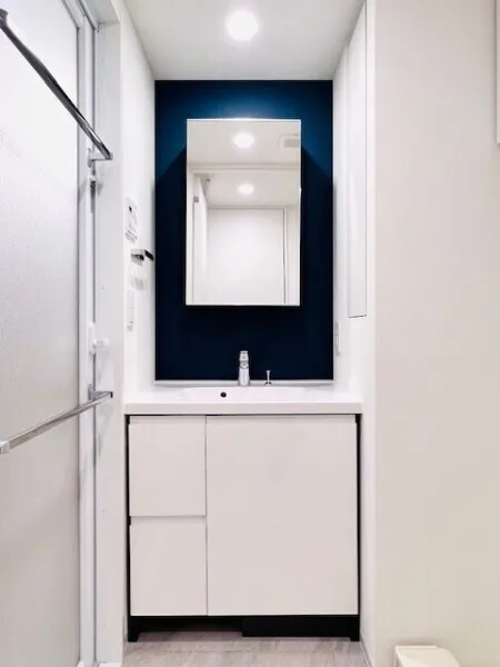 Brillia Ist Shibuya Honmachi - Interior - ["Flooring", "Bathroom cabinet", "Interior design"]