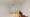 Hmlet Nakano Sakaue - Interior - ["Flooring", "Floor", "Interior design"] thumbnail