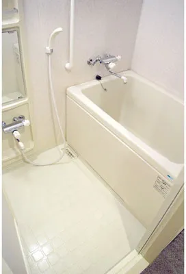 Ebisu Park Terrace - Interior - ["Plumbing fixture", "Flooring", "Bathroom"]