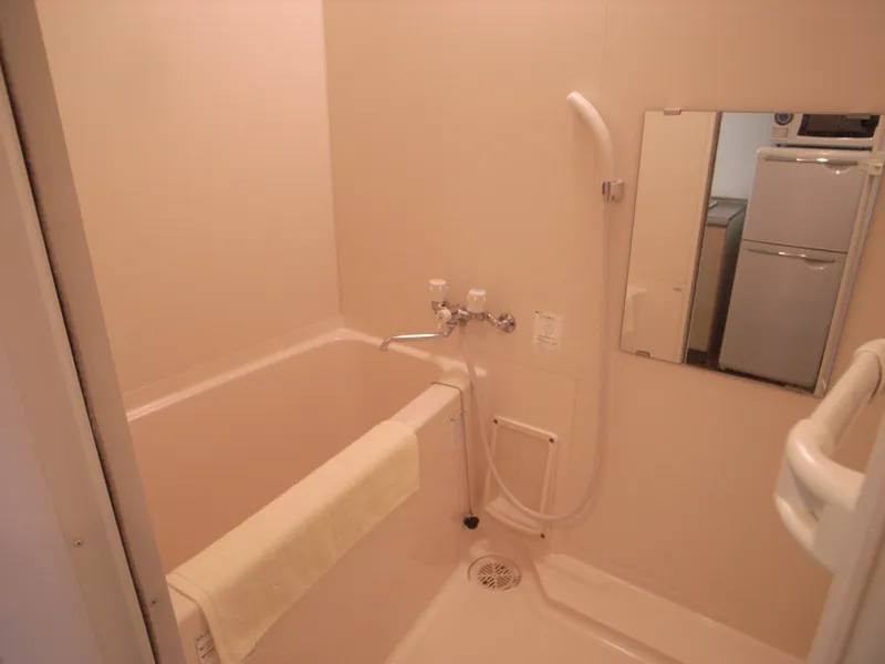 JAPT Mitsukoshimae - Interior - ["Bathroom", "Property", "Room"]