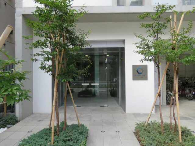 Castalia Otsuka - Other - ["Plant", "Property", "Green"]