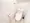 Genovia Shinjuku Nakaochiai Sky Garden - Interior - ["Toilet seat", "Toilet", "Plumbing fixture"] thumbnail