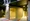 Primal Shinjuku Wakamatsucho - Exterior - ["Light", "Facade", "Shade"] thumbnail