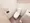 Mynavi STAY Grande Ueno - Interior - [] thumbnail