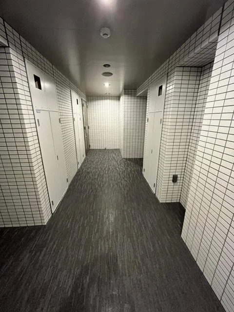 RESIDIA Higashi Azabu - Interior - Inner corridor