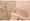 Crevista Oshima I - Interior - ["Plumbing fixture", "Bathroom", "Plumbing"] thumbnail