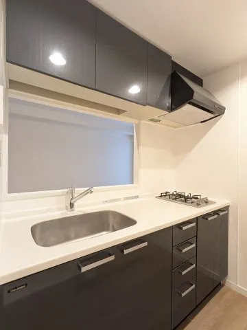 Beljure Takanawa - Interior - ["Kitchen", "Kitchen Sink", "Countertop"]