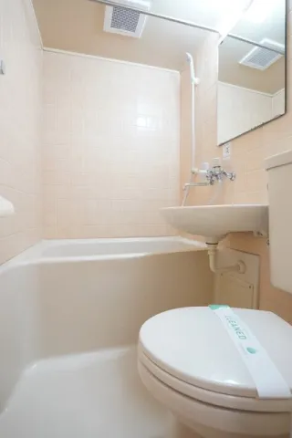 White Castle Kamisaginomiya - Interior - ["Plumbing fixture", "Bathroom", "Bathroom Sink"]