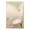 Park Axis Ochanomizu - Interior - ["Property", "Toilet seat", "Bathroom"] thumbnail