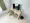 Mynavi STAY Hatchobori - Interior - [] thumbnail
