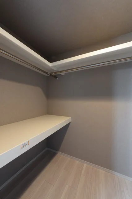 Terra Silk Forest - Interior - ["Ceiling", "Silver", "Shelving"]