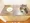 Ronsley West - Interior - ["Kitchen Sink", "Plumbing fixture", "Sink"] thumbnail