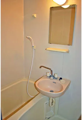 Palais Holmes Tennozu - Interior - ["Plumbing fixture", "Bathroom", "Bathroom Sink"]
