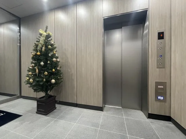 Geoluminous - Other - ["Christmas tree", "Plant", "Building"]