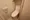 IPSE Yoyogi - Interior - ["Toilet seat", "Toilet", "Plumbing fixture"] thumbnail