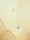 RESIDIA Bunkyo Sengoku - Interior - ["Property", "Room", "Floor"] thumbnail