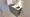 Crevia Riguse Nishisugamo - Interior - ["Cabinetry", "Tap", "Countertop"] thumbnail