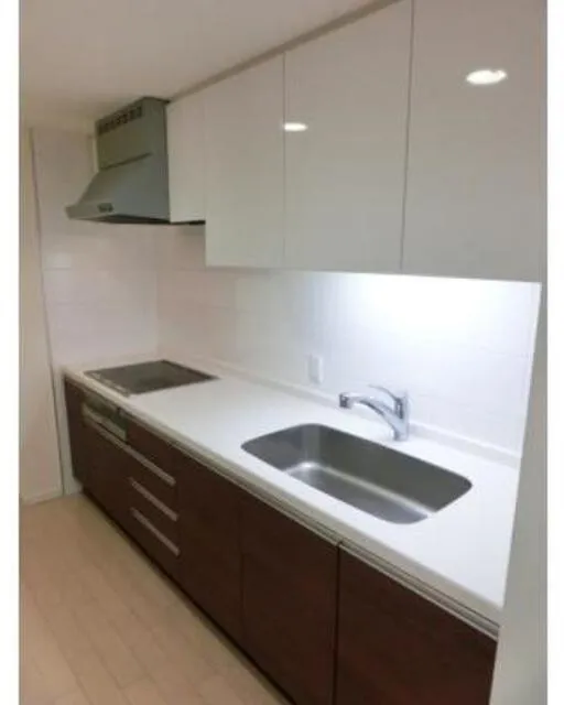 The Tokyo Towers Midtower - Interior - ["Flooring", "Floor", "Kitchen Sink"]
