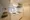 Hmlet Yoyogi Uehara - Interior - ["Flooring", "Interior design", "Floor"] thumbnail