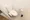 Hmlet Moto-Asakusa - Interior - ["Toilet seat", "Toilet", "Plumbing fixture"] thumbnail