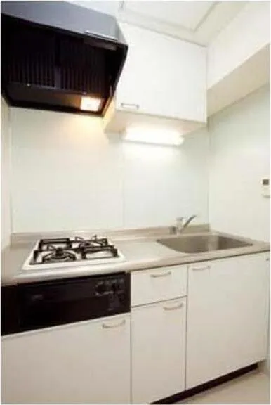 Lumiere Yutenji - Interior - ["Kitchen sink", "Cabinetry", "Tap"]
