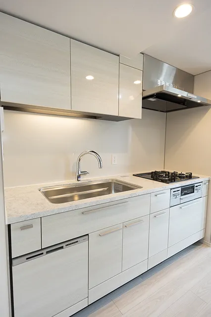 Park Homes Bunkyo Hakusan Hill Terrace - Interior - ["Kitchen", "Kitchen Sink", "Countertop"]