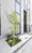 Fullea Kagurazaka - Other - ["Concrete", "Courtyard", "Houseplant"] thumbnail