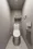 Terra Silk Forest - Interior - ["Toilet seat", "Toilet", "Flooring"] thumbnail