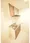 Le Coeur Shibuya Honmachi - Interior - ["Flooring", "Floor", "Wood flooring"] thumbnail