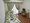 JAPT Higashi-Nihonbashi - Interior - ["Room", "Property", "Bedroom"] thumbnail